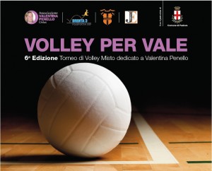 Volley Vale 2015